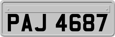 PAJ4687