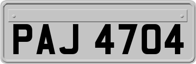 PAJ4704