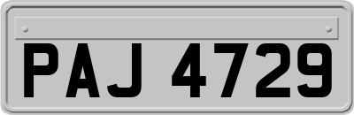 PAJ4729