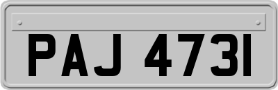 PAJ4731