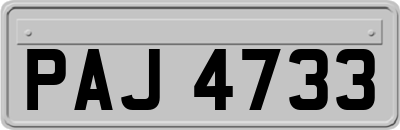 PAJ4733