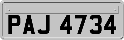 PAJ4734