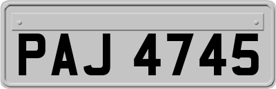 PAJ4745