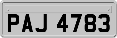 PAJ4783