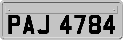 PAJ4784