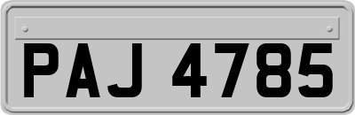 PAJ4785