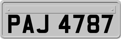 PAJ4787