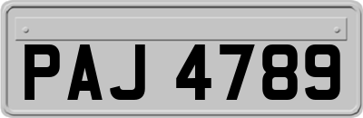 PAJ4789