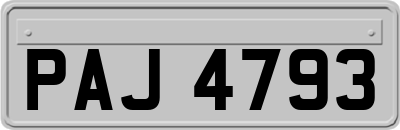 PAJ4793