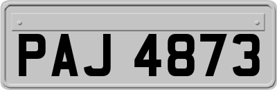 PAJ4873