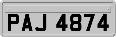 PAJ4874