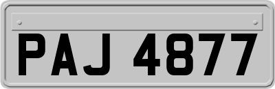 PAJ4877