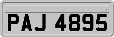 PAJ4895