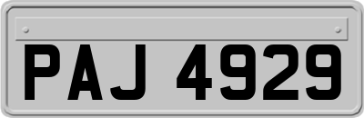 PAJ4929