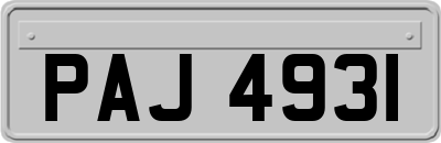 PAJ4931