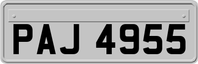 PAJ4955