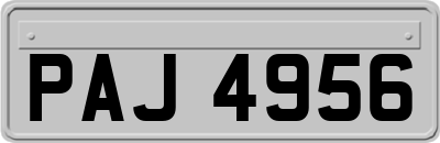 PAJ4956