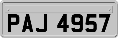 PAJ4957