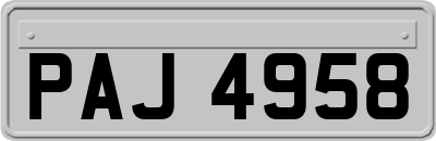PAJ4958