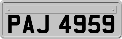 PAJ4959