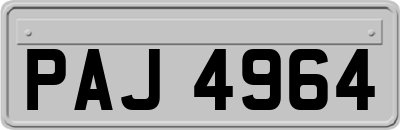 PAJ4964