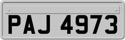 PAJ4973