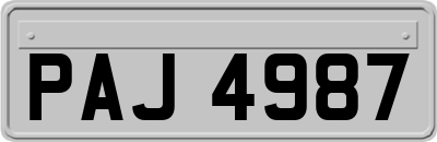 PAJ4987
