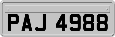 PAJ4988
