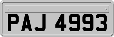 PAJ4993