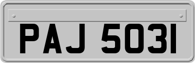 PAJ5031