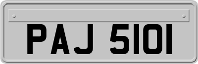PAJ5101
