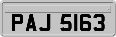 PAJ5163