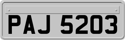 PAJ5203