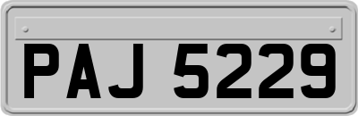 PAJ5229