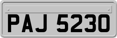 PAJ5230