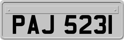 PAJ5231