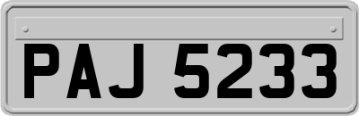 PAJ5233