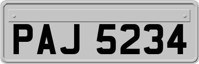 PAJ5234