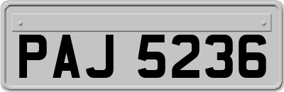 PAJ5236