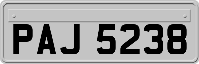 PAJ5238