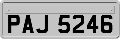 PAJ5246