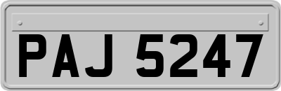 PAJ5247