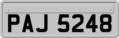PAJ5248