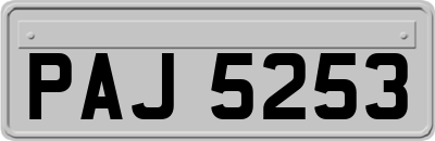 PAJ5253