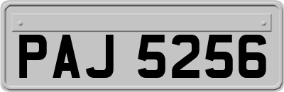 PAJ5256