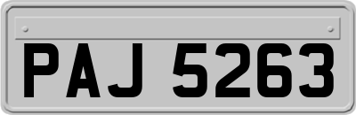 PAJ5263