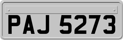 PAJ5273