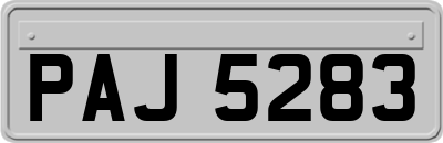 PAJ5283