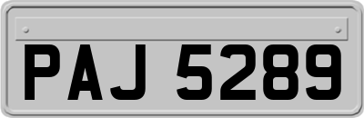 PAJ5289
