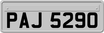 PAJ5290
